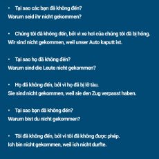 học tiếng đức